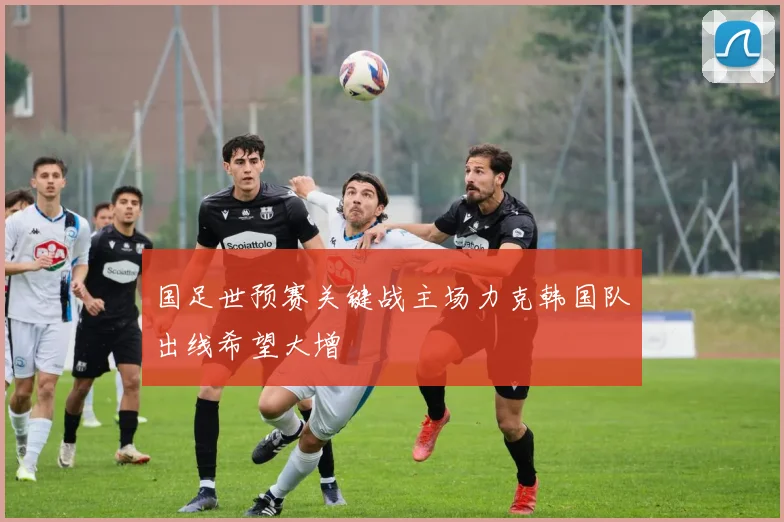 国足世预赛关键战主场力克韩国队出线希望大增