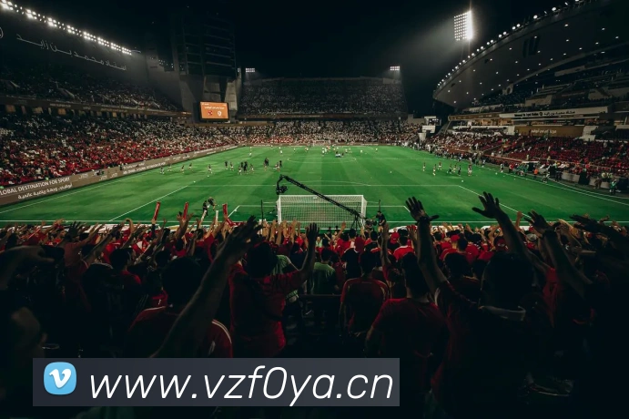 云开app官方版入口平台生态图